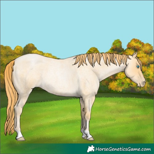 Horse Color:Buckskin Roan Pearl