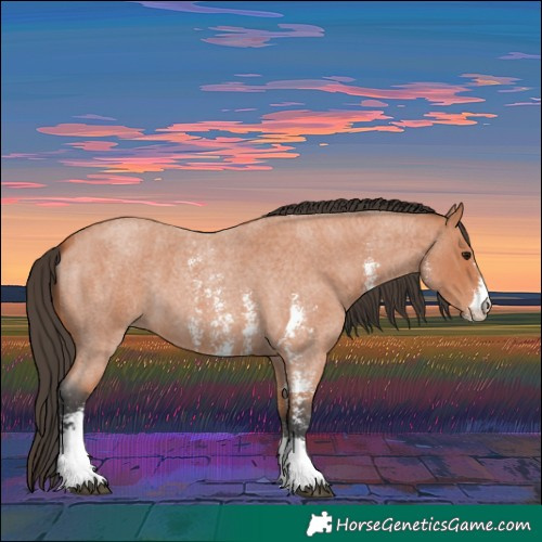 Horse Color:Bay Roan Sabino
