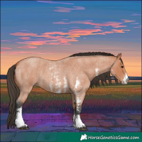 Horse Color:Bay Roan Sabino