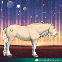 Horse Color:Silver Amber Cream Champagne Roan Dun Splash 
