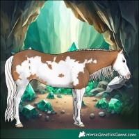 Horse Color:Silver Buckskin Splash Frame 