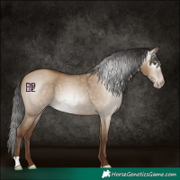 Horse Color:Gray Classic Champagne Dun 