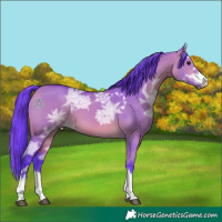 Horse Color:Watercolor Bay Ice Dun