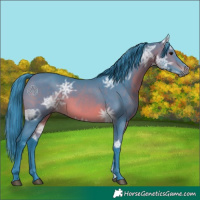 Horse Color:Watercolor Brown Ice