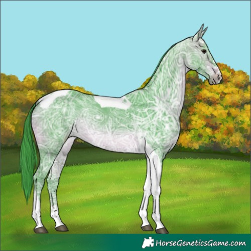 Horse Color:Watercolor Brown Ice Tobiano