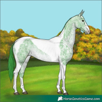 Horse Color:Watercolor Brown Ice Tobiano 