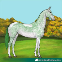 Horse Color:Watercolor Brown Ice Tobiano 