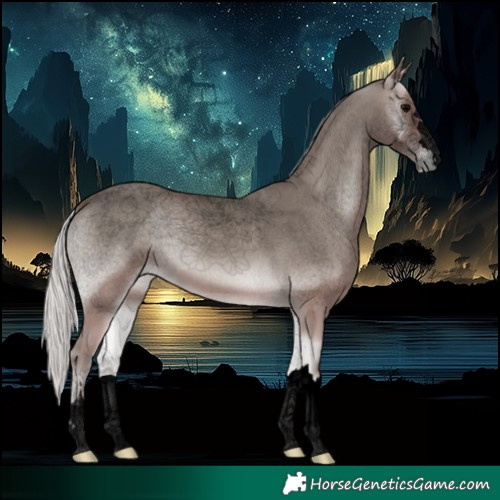 Horse Color:Void Platinum Silver Blue Onyx 