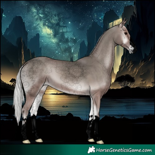 Horse Color:Void Platinum Silver Blue Onyx 