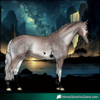 Horse Color:Void Platinum Silver Blue Onyx 