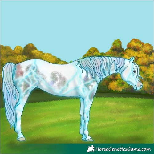 Horse Color:Nacre Thunderstruck White Spotted Silver Buckskin Chinchilla Ice Splash Tobiano 