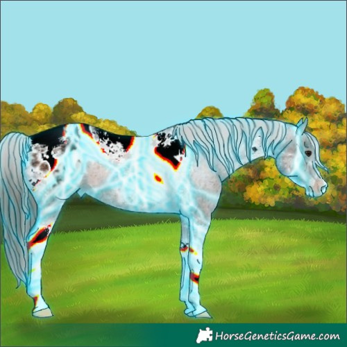 Horse Color:Thunderstruck Bay Ice Tobiano Appaloosa 