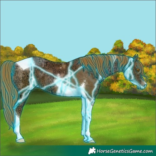 Horse Color:Thunderstruck Brown Ice Pearl Tobiano 