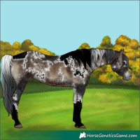 Horse Color:White Spotted Brown Ice Onyx Tobiano 