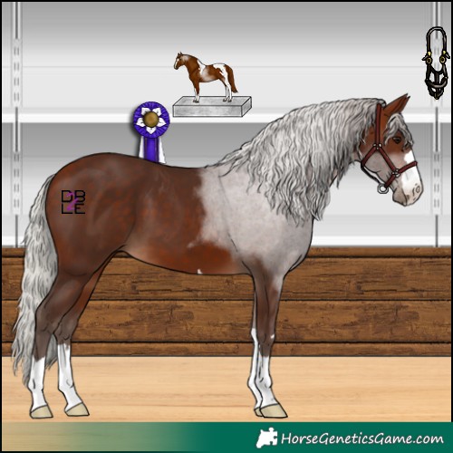 Horse Color:Silver Bay 