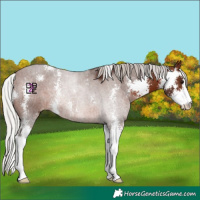 Horse Color:Silver Brown Sabino 
