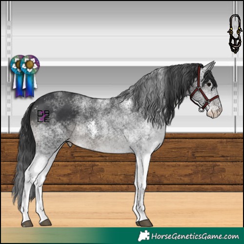Horse Color:White Spotted Black Tobiano Rabicano 