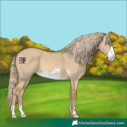 Horse Color:Chocolate Palomino Dun Mushroom Frame