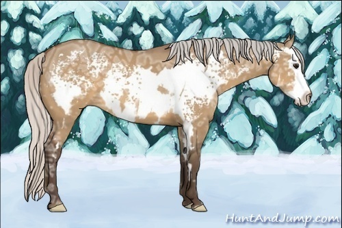 Horse Color:White Spotted Silver Brown Ice Dun Splash Frame