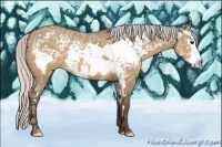 Horse Color:White Spotted Silver Brown Ice Dun Splash Frame 