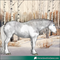 Horse Color:Silver Bay Ice Roan Onyx Splash 