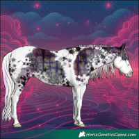 Horse Color:Plaid  Chocolate Silver Brown Ice Onyx Splash Tobiano 