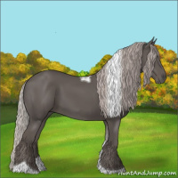 Horse Color:Silver Black Tobiano