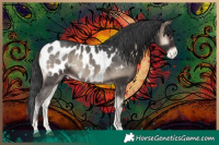 Horse Color:Blue Onyx Blanket 
