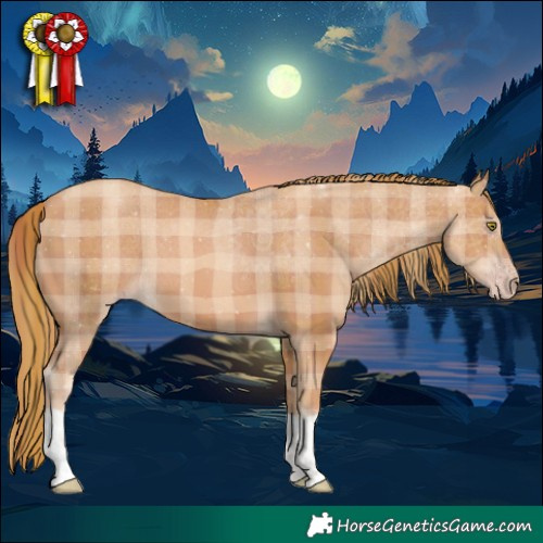 Horse Color:Plaid  Gold Champagne 