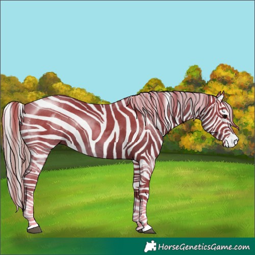 Horse Color:Silver Black Tobiano 