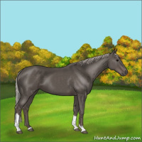 Horse Color:Silver Black Tobiano