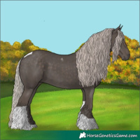 Horse Color:Silver Black Tobiano 