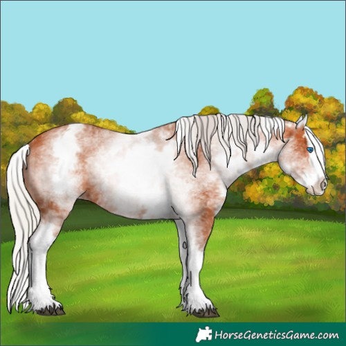 Horse Color:White Spotted Silver Bay Splash