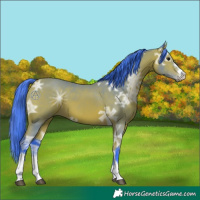 Horse Color:Watercolor Bay Ice 