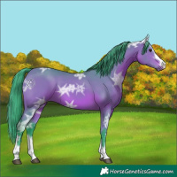 Horse Color:Watercolor Bay Ice 