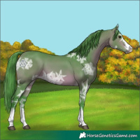 Horse Color:Watercolor Bay Ice 