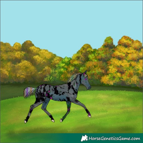 Horse Color:ERROR: UNKNOWN ANOMALY