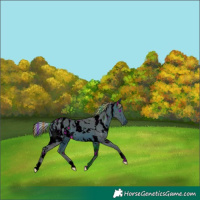 Horse Color:ERROR: UNKNOWN ANOMALY