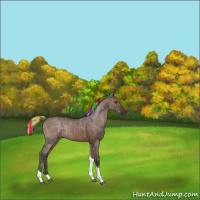 Horse Color:Painted Silver Brown Dun Tobiano 