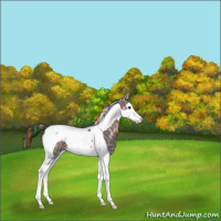 Horse Color:Painted Bay Ice Splash Tobiano 