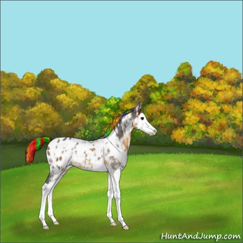 Horse Color:Painted White Spotted Buckskin Ice Splash Blanket 