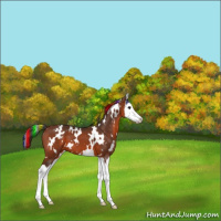 Horse Color:Painted White Spotted Bay Splash Varnish 