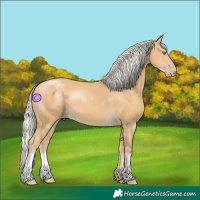 Horse Color:Silver Classic Cream Champagne 
