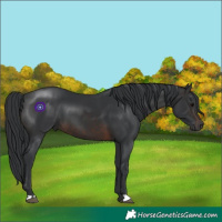 Horse Color:Brown 