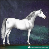 Horse Color:Brown Sabino 