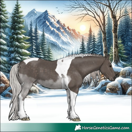 Horse Color:Silver Black Tobiano 