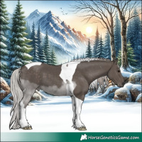 Horse Color:Silver Black Tobiano 