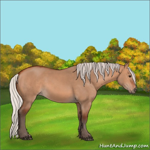 Horse Color:Silver Bay Dun 