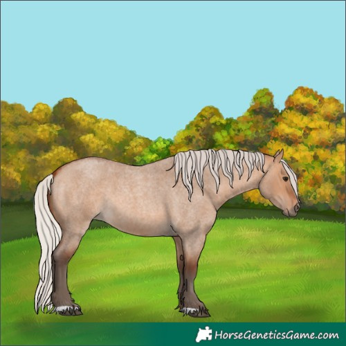 Horse Color:Silver Bay Roan Dun 