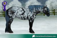 Horse Color:ERROR: UNKNOWN ANOMALY